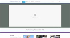 Desktop Screenshot of nlimm.com